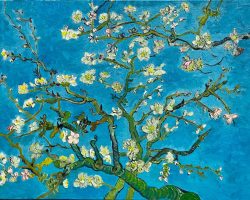 Oil, canvas; (73,5 x 92 cm); Impressionism; Van Gogh Museum, Amsterdam, Holland; Van Gogh Almond Blossoms 1890 Oil